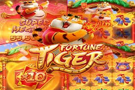 matorbet গোপনীয়তা ও ডেটা সুরক্ষা নীতি